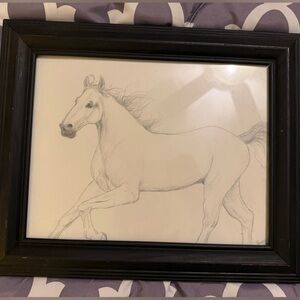 Elegant Black Framed Horse Pencil Sketch       8  x  10